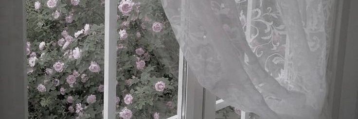 jini banner