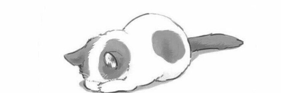 sweety_miuu's profile banner image
