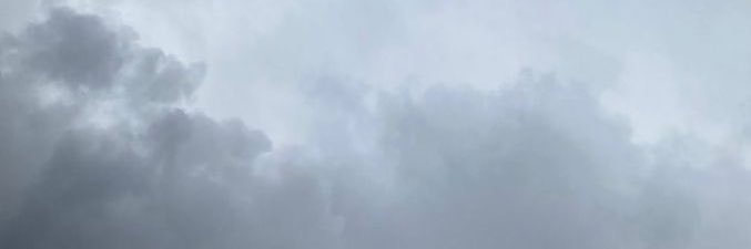 Moonlightbae banner