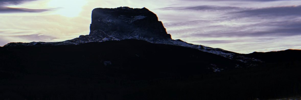 donarroww banner