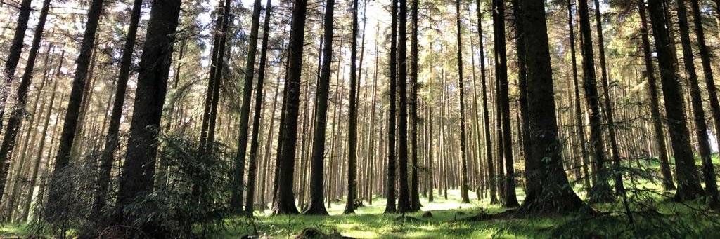 conservationsoc's profile banner image