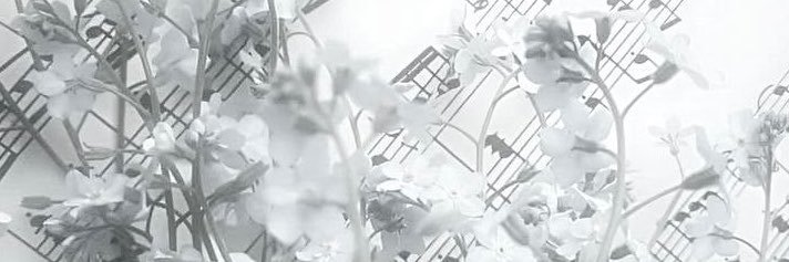 nyamya33's profile banner image