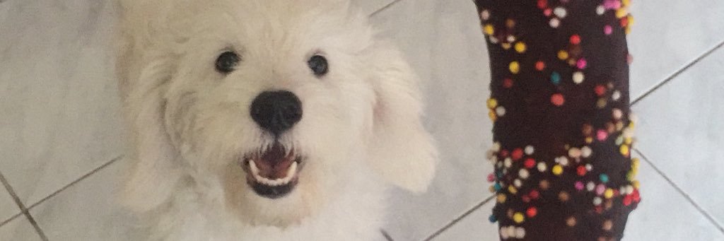 ladymoran_'s profile banner image
