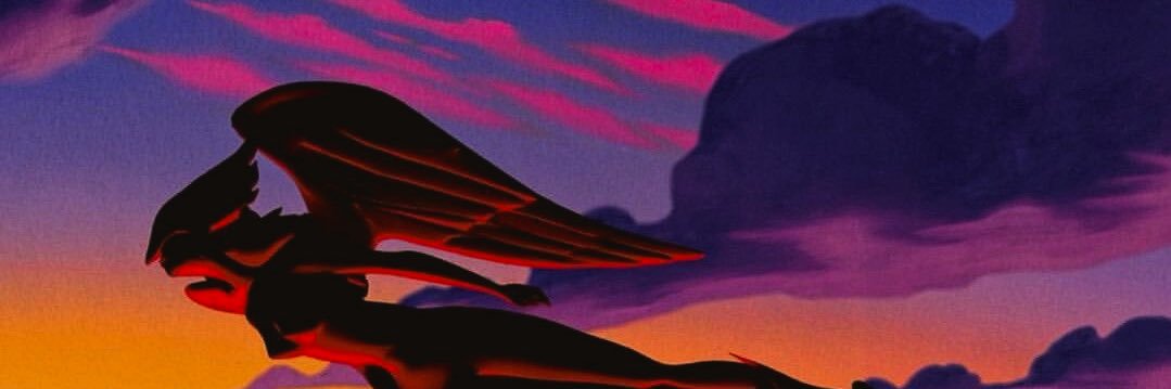 𝑺𝑯𝑨𝒀 𝑯𝑶𝑳 🪽 banner