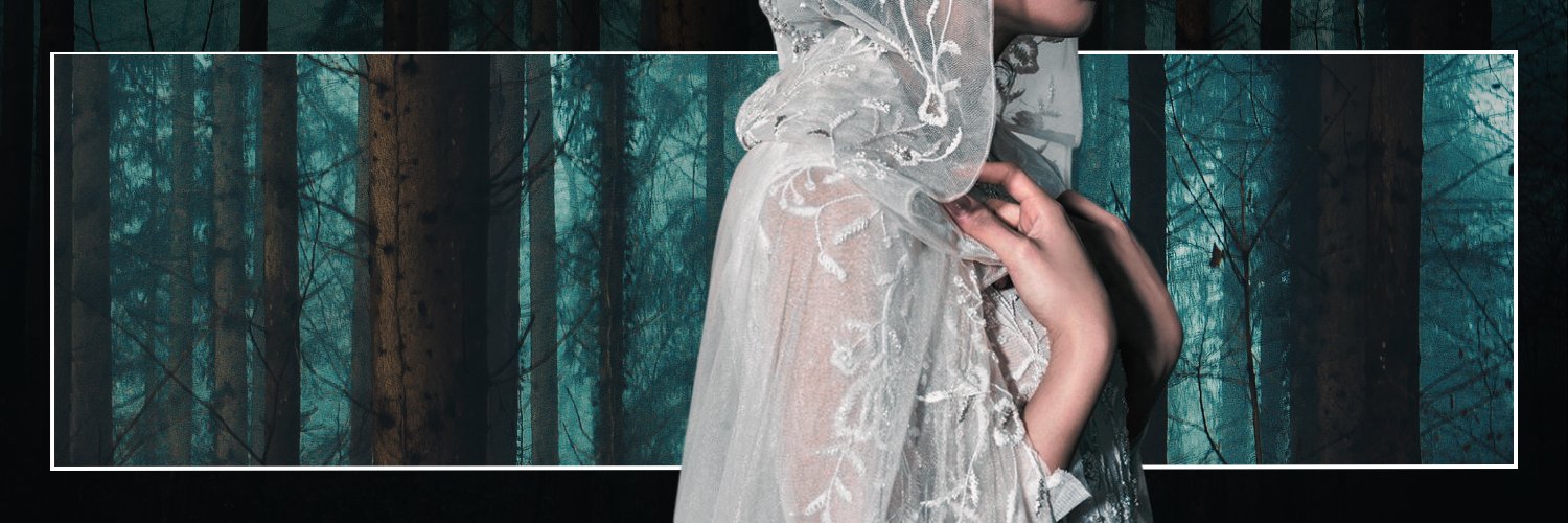 Bride Harry Fest 💍 banner