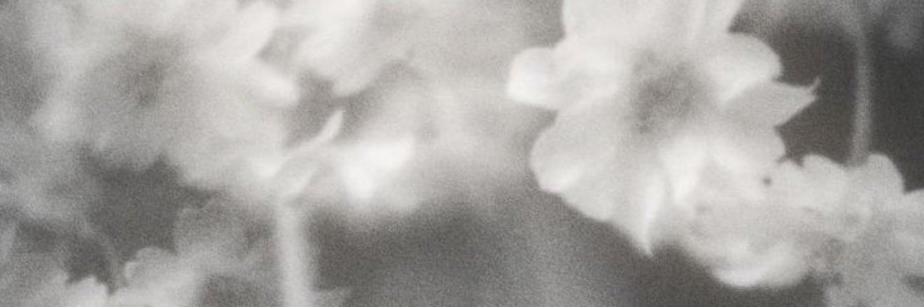 Catthief723（被折叠评论 banner