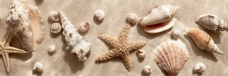 2thebeachymis's profile banner image