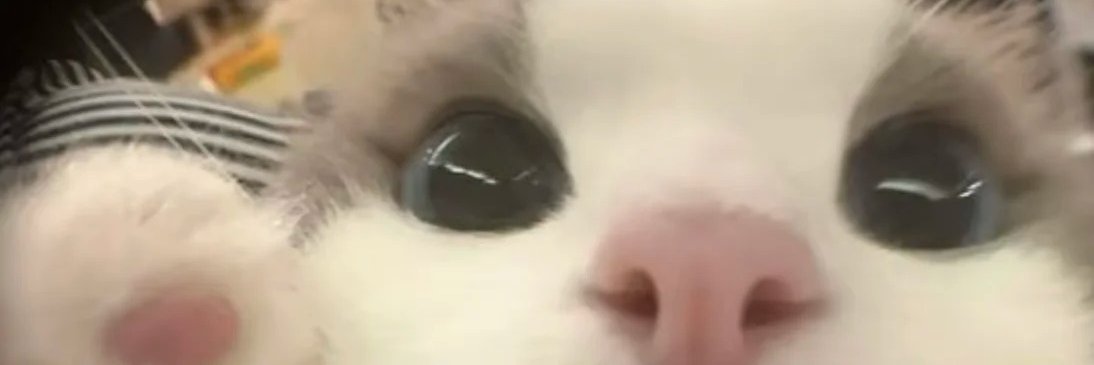 冬瓜有点困💤 banner
