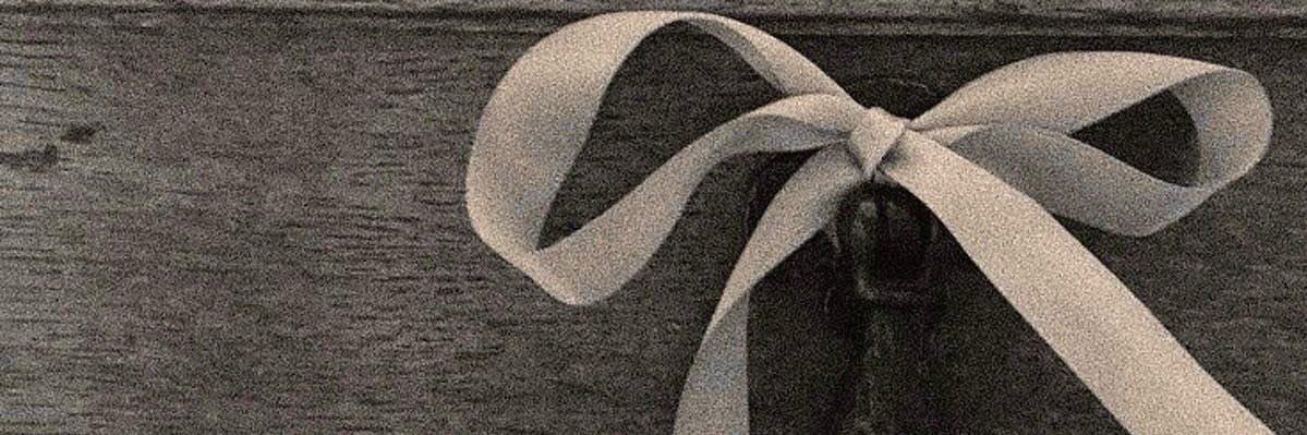 rora ★ | DFH banner