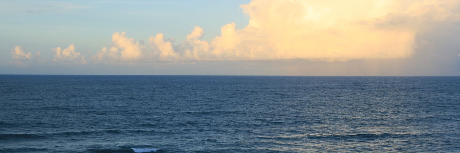 Dexterisready's profile banner image