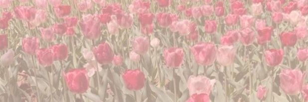 danniii banner