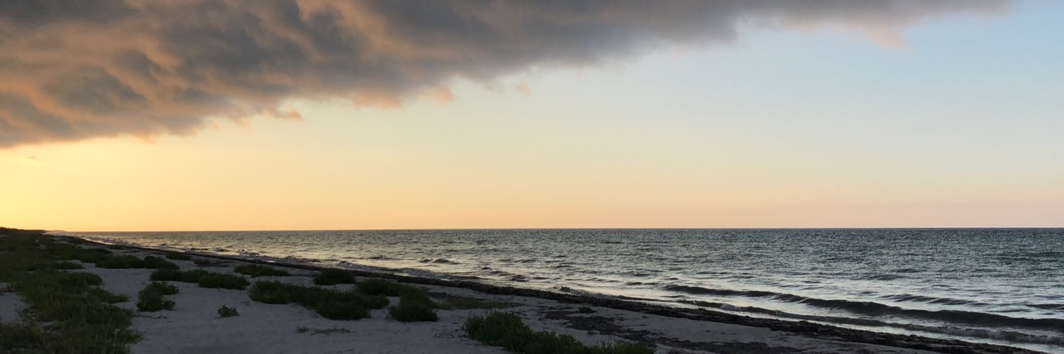 carmiotero's profile banner image