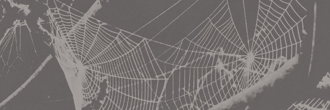 SILKBOUNDHERO's profile banner image
