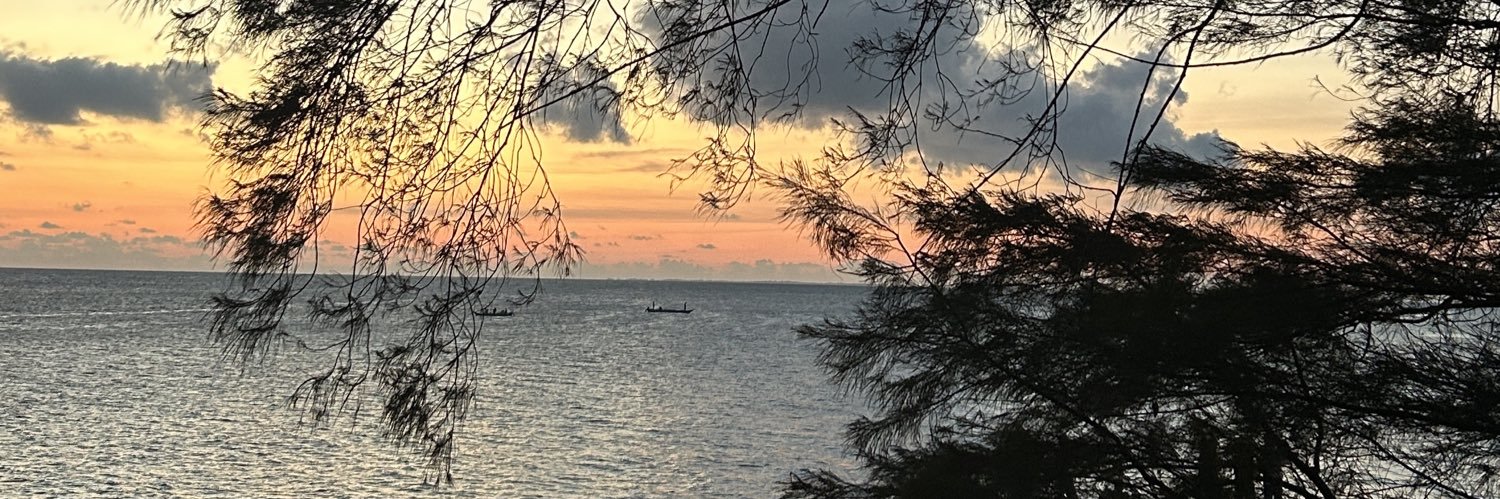 Aryaaaefsnjya's profile banner image