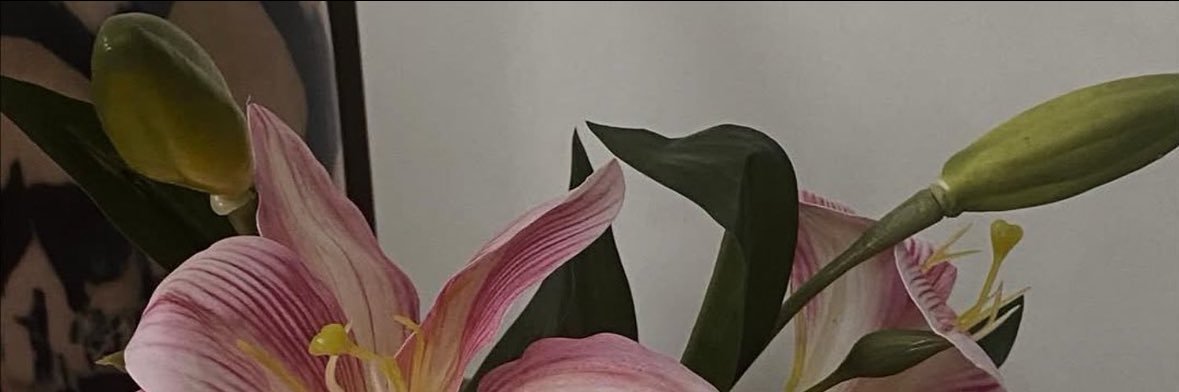 np_4a's profile banner image