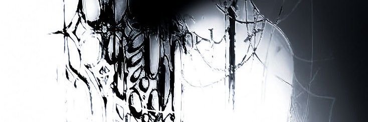 Tk🐾 banner