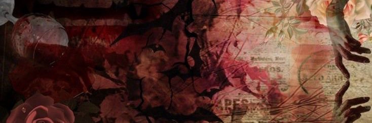 ˚ʚɞ akechi of shtwt banner