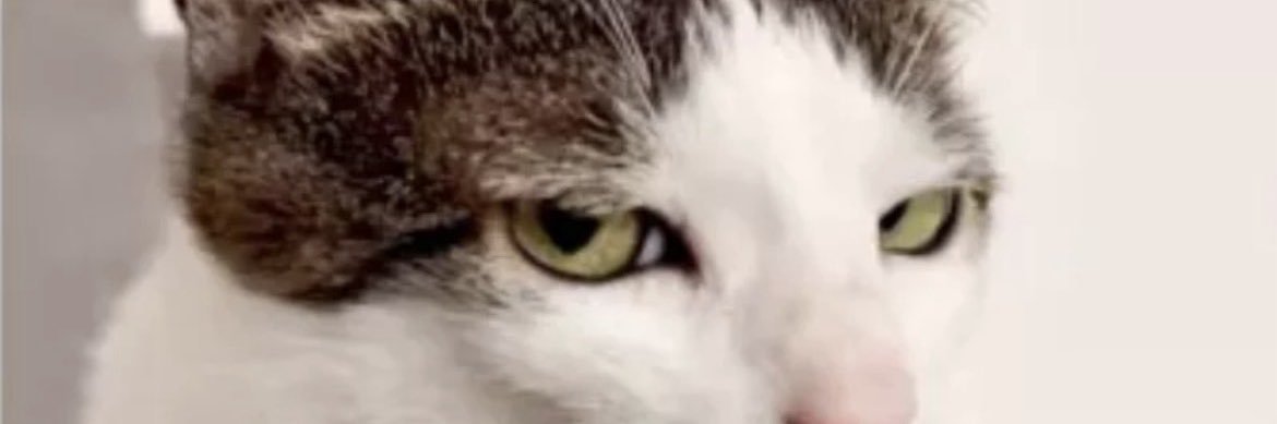 الاسم تحت الصيانة 🥱 banner