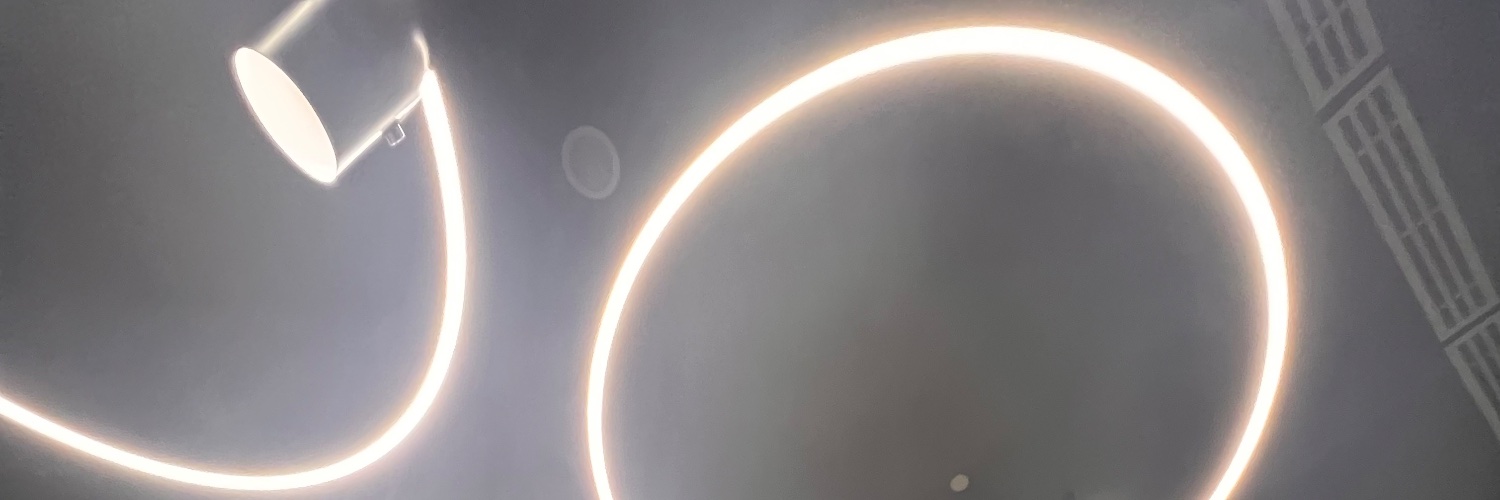 David Aanensen banner