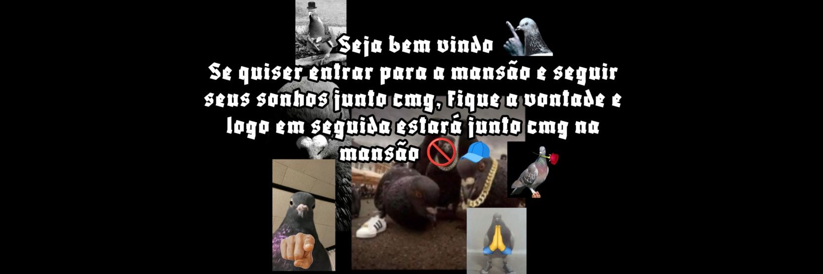 Mr_PomboNoCap's profile banner image