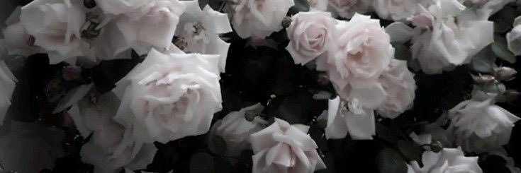 冥 banner