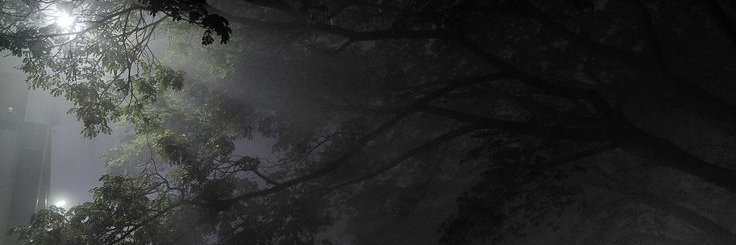 kat banner