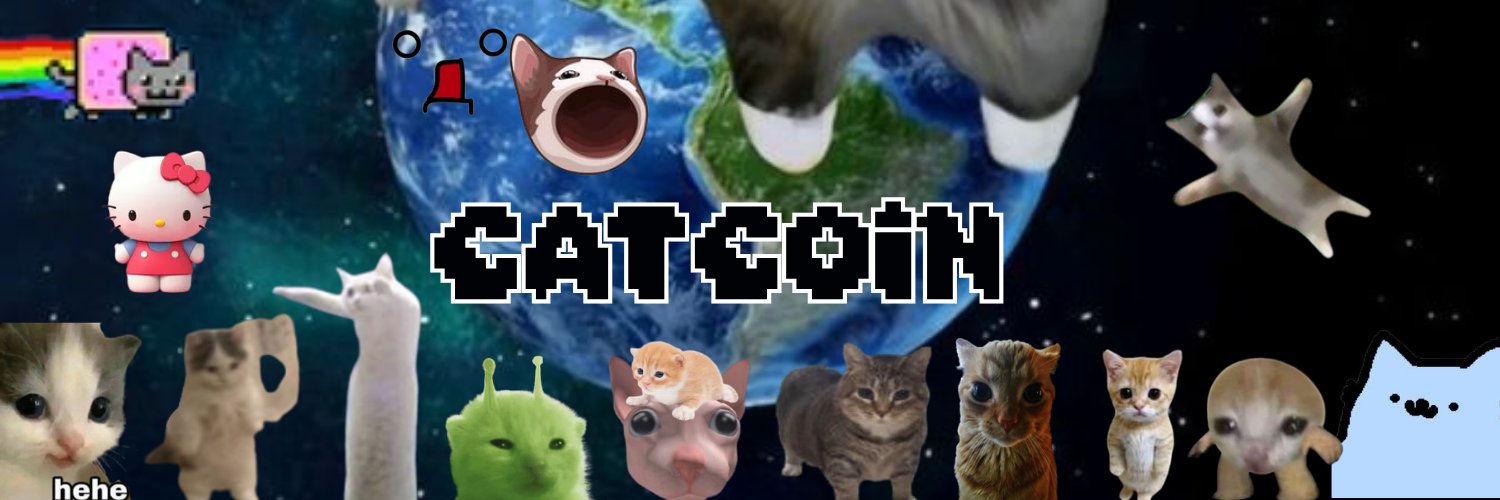Catcoin banner