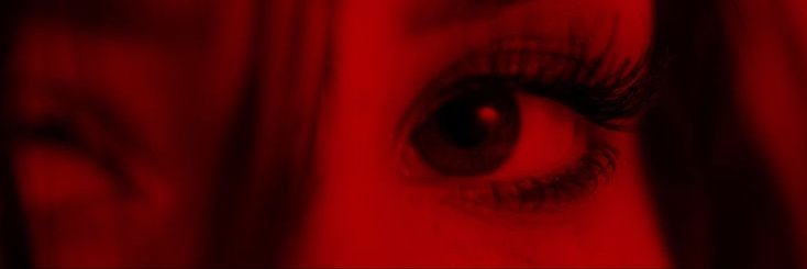 Lisa banner