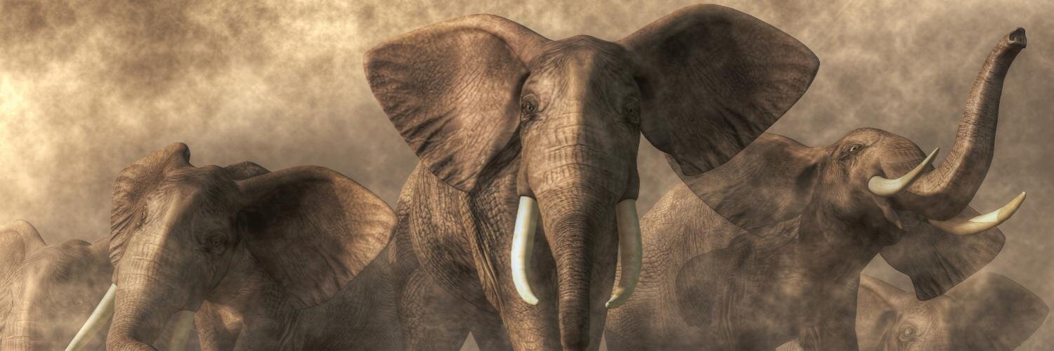 Daniel Eskridge (Fantasy/Western/Wildlife Artist) banner