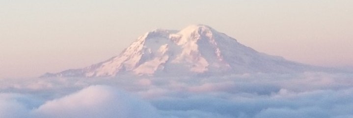 MichelleMiddles's profile banner image