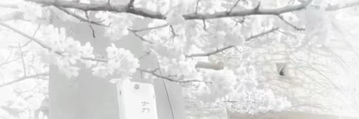 S2ya_jih's profile banner image