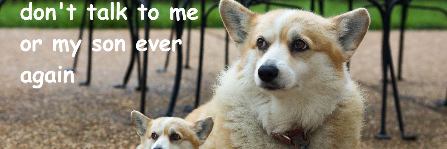 extra emo fesh banner