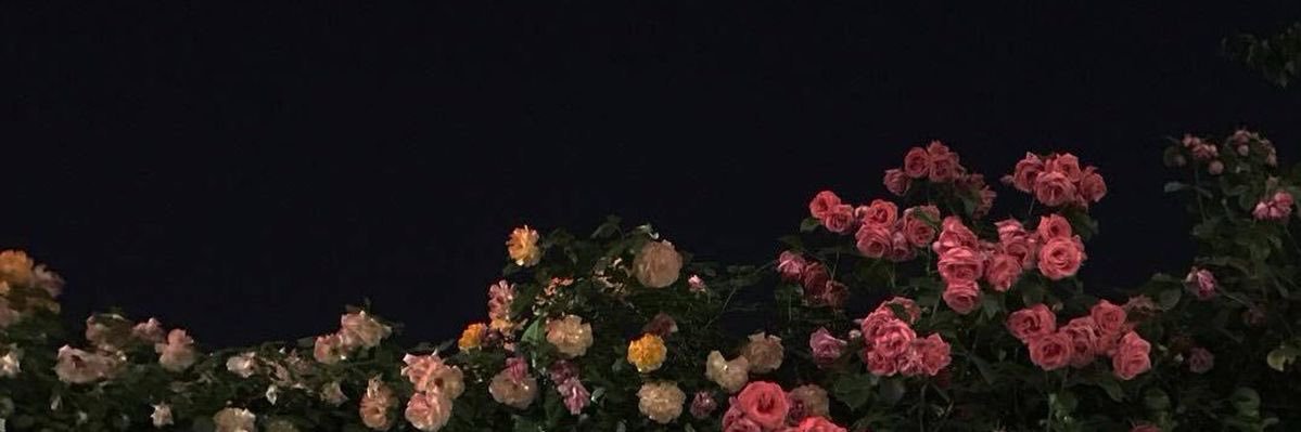 0iix336's profile banner image