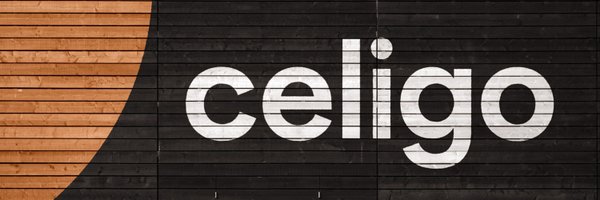 celigoinc Profile Banner