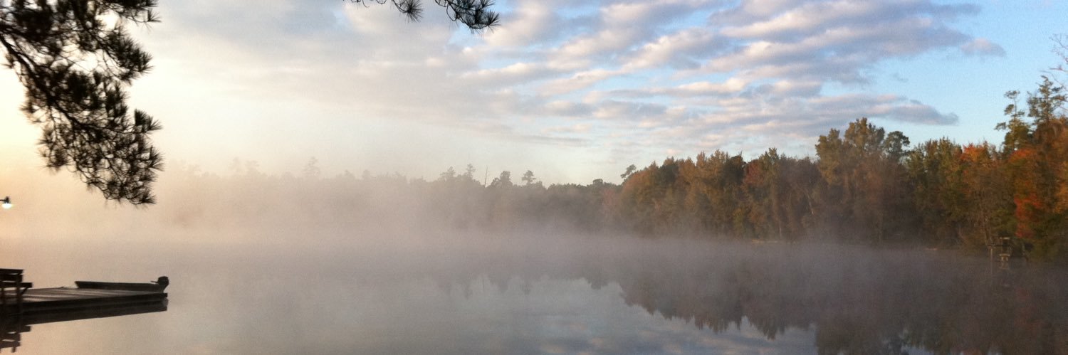 Stephen L Dinkins Jr banner