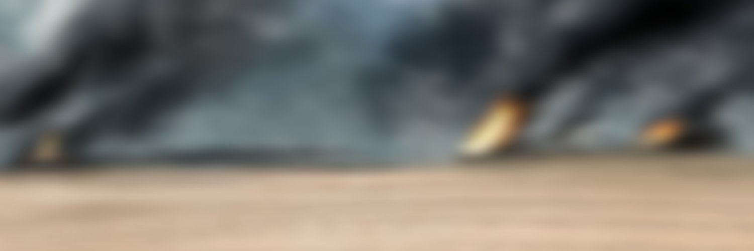_Busyk_'s profile banner image
