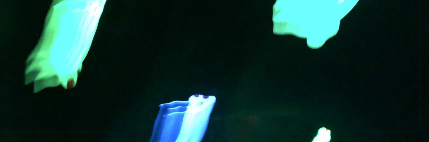 サヤ・スプラウト banner