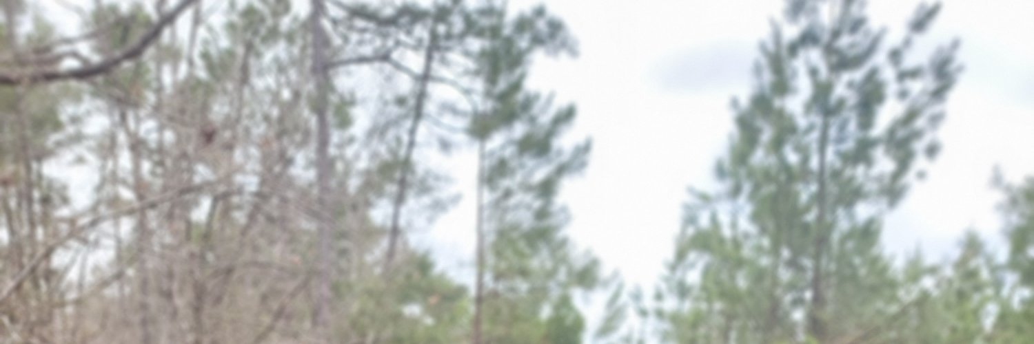 PeterMcHaney's profile banner image