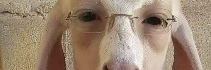vargasmt2155's profile banner image