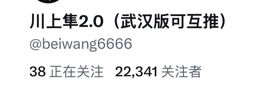 川上隼（可互推） banner