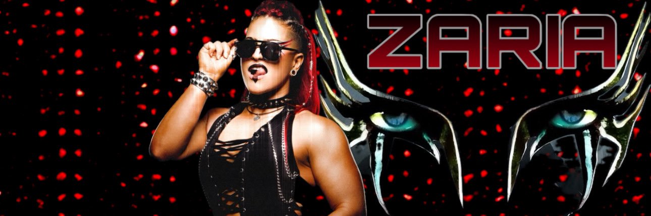 𝓣𝓱𝓮 𝓦𝓪𝓼𝓽𝓮𝓛𝓪𝓷𝓭 ⌁ Not @ZariaWWE_ banner