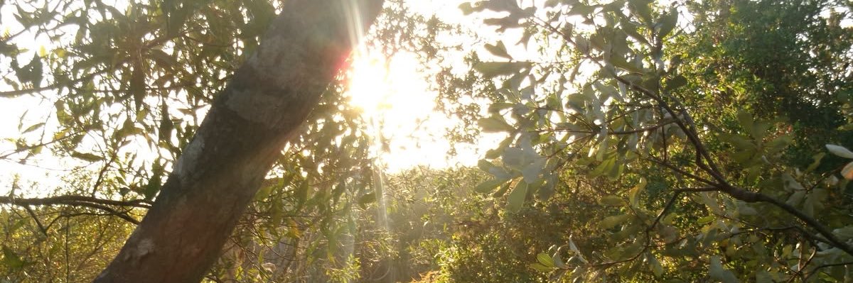 ☀️ banner