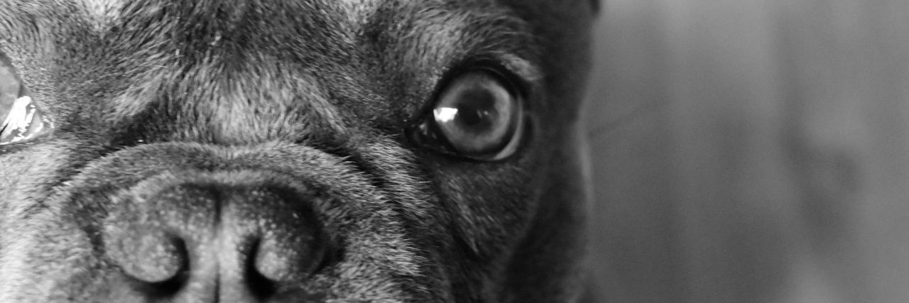Lizets_A's profile banner image