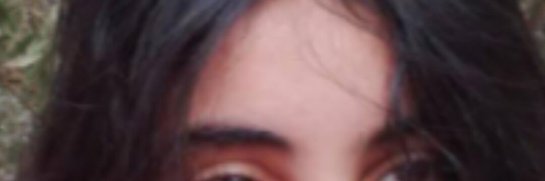 freddy banner