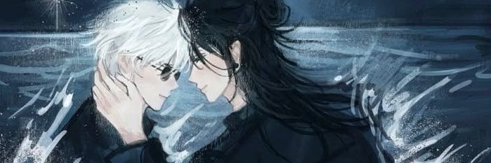 radicalvianna's profile banner image