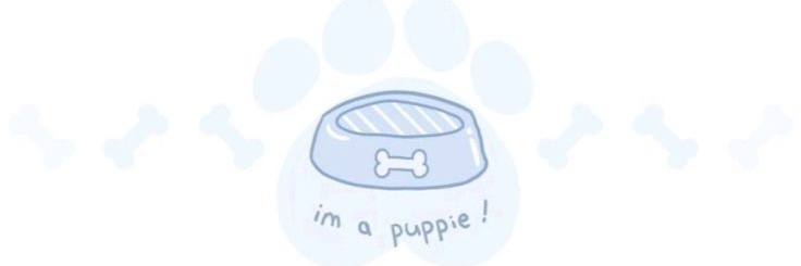🐾 Caleb Z. Dex 🐾 banner