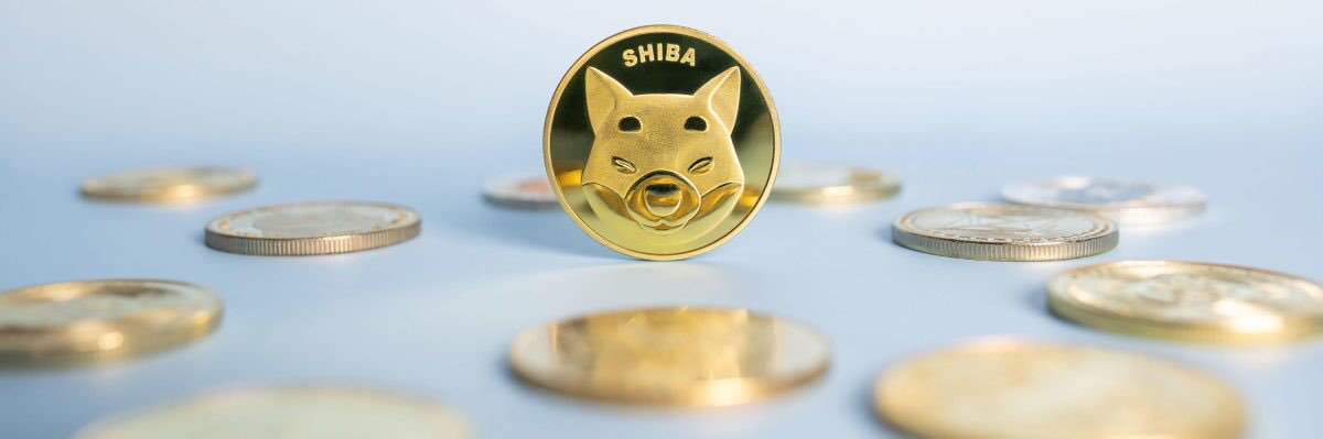 a_mujkic's profile banner image