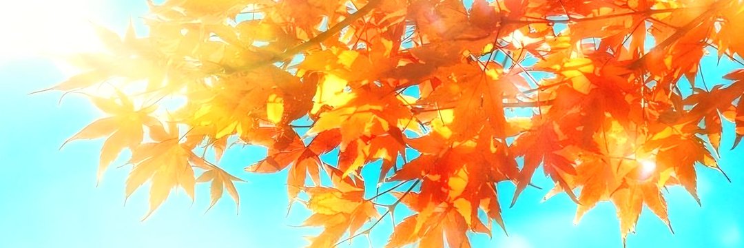 e. banner