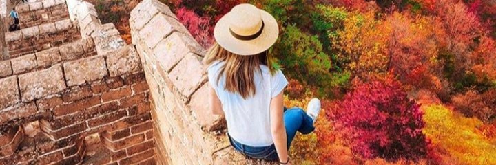 DeyseDdS's profile banner image