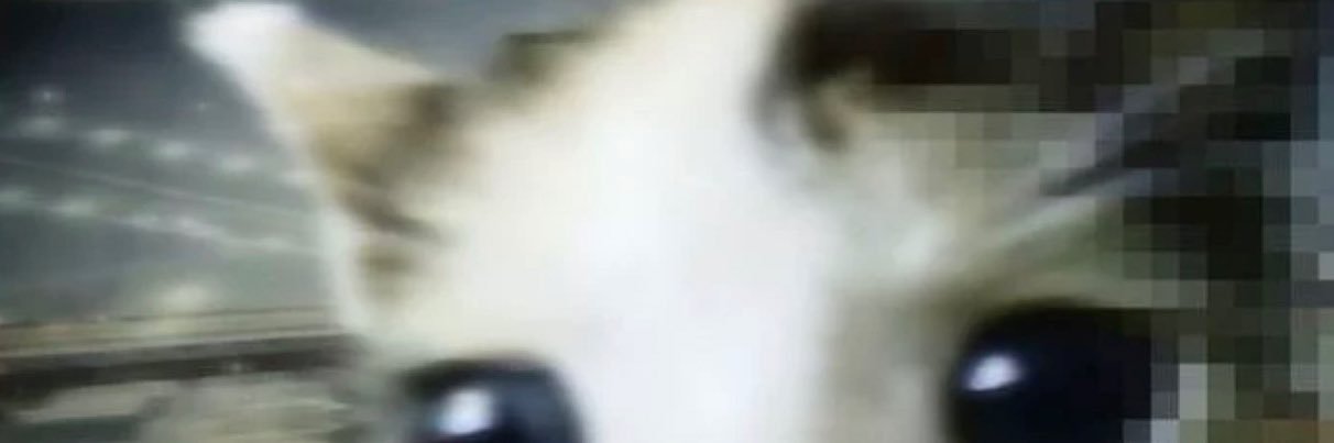 ximenita banner